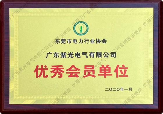 东莞市电力行业协会优秀会员单位