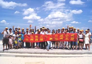 紫光电气巽寮湾之旅