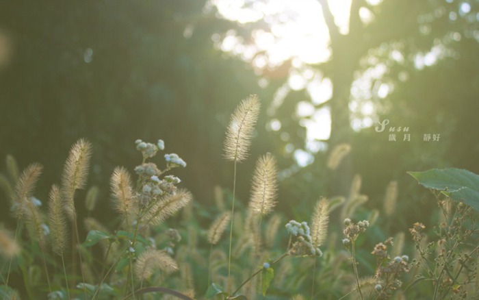 自强不息，不负青春，不负紫光