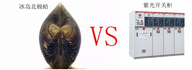 论长寿只服冰岛北极蛤，选高压开关柜认准紫光电气
