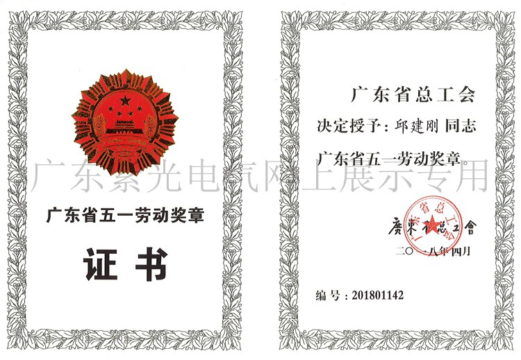 广东紫光电气邱建刚荣获广东省劳动模范1