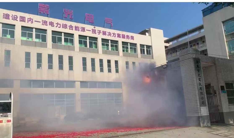 广东紫光电气有限公司2025年开工大吉1
