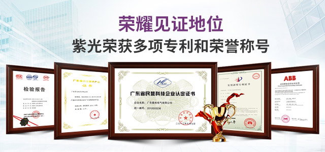荣耀见证地位，紫光荣获多项专利和荣誉称号