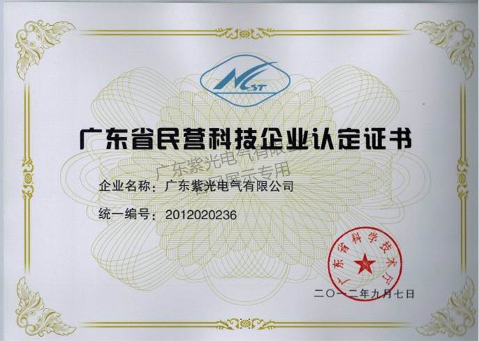 广东民营科技企业认定证书-紫光电气